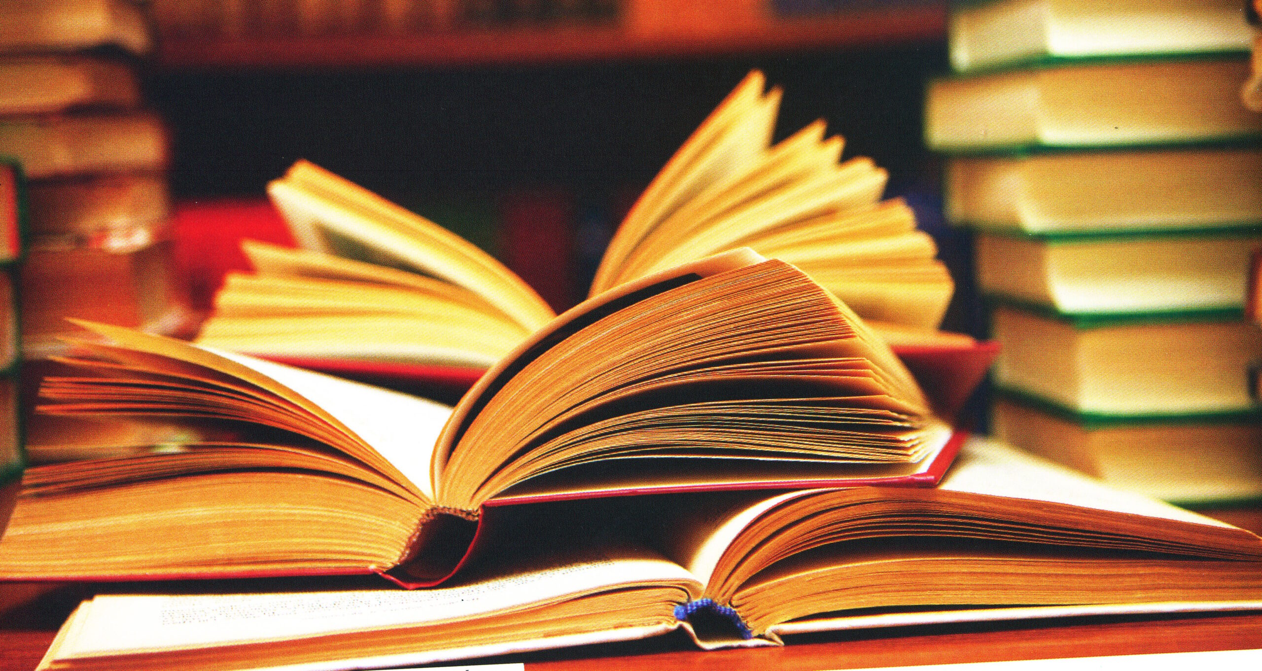 Biblioteca Municipal