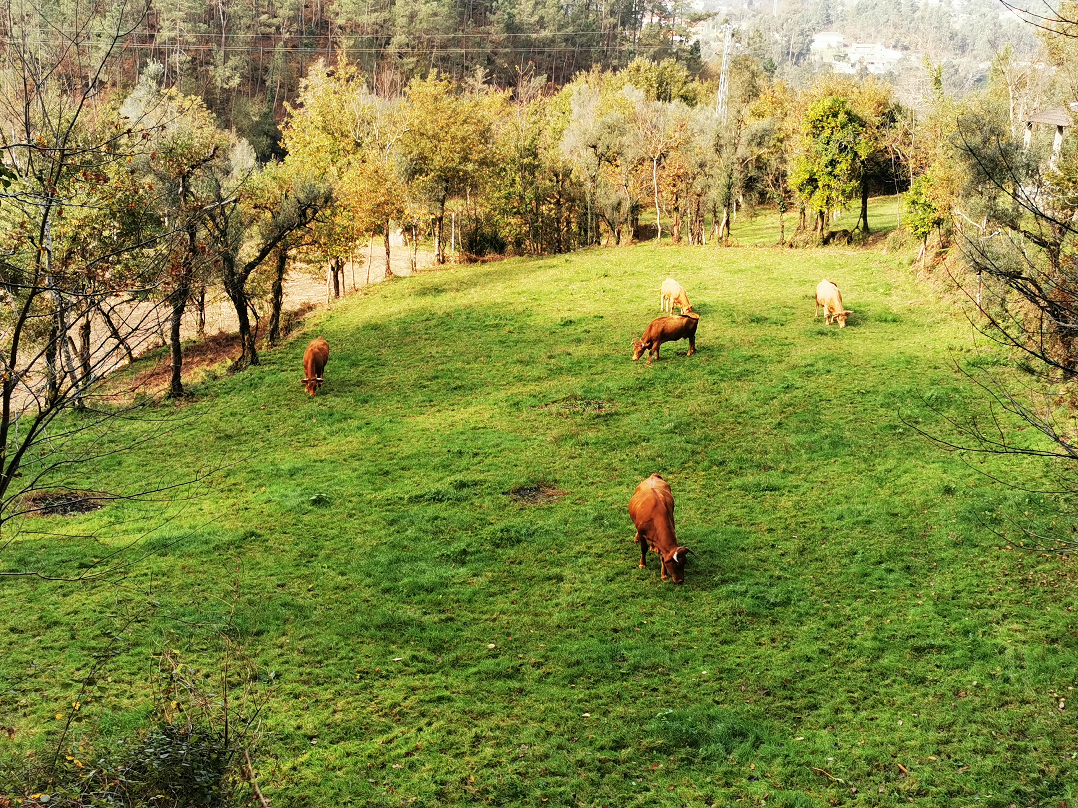 [:pt]PR3 – Ribeiro Queimado[:] 1