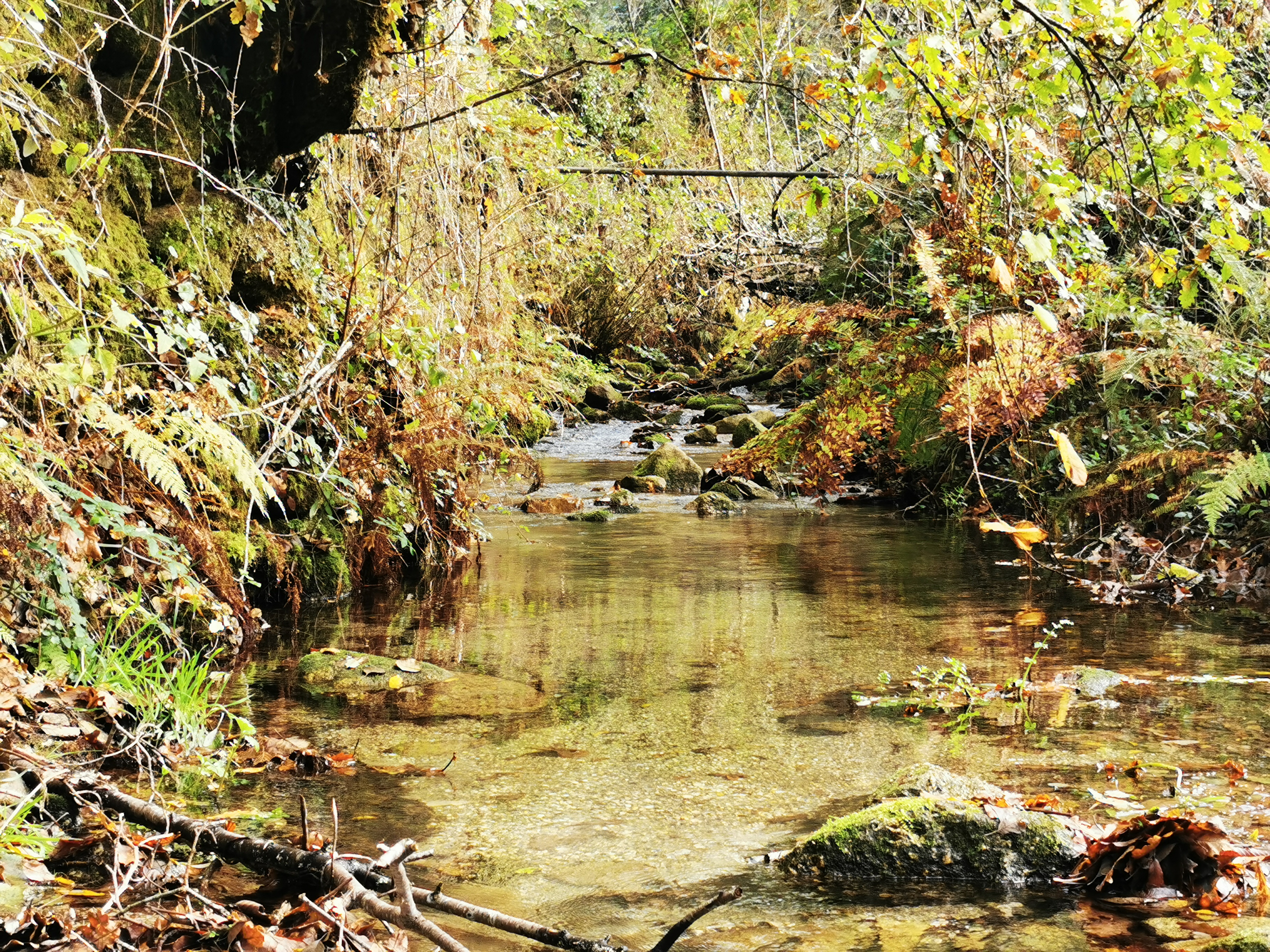 [:pt]PR3 – Ribeiro Queimado[:] 15