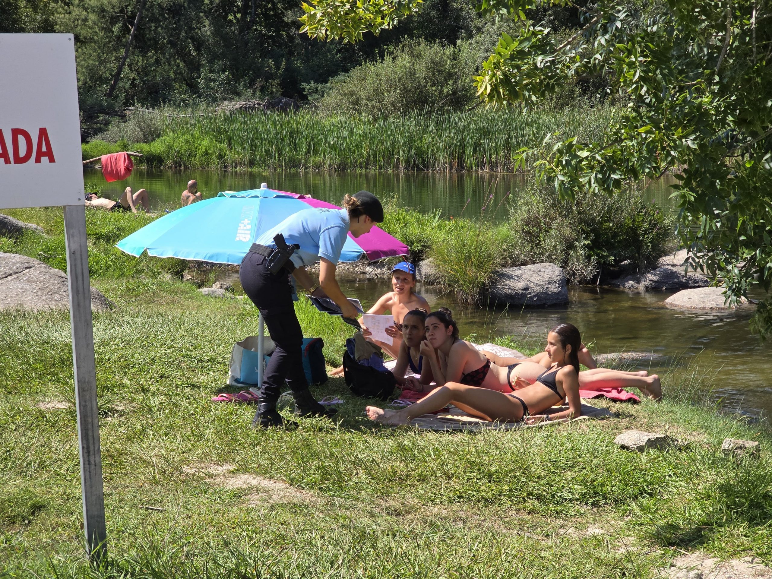 Rascunho automático 4051