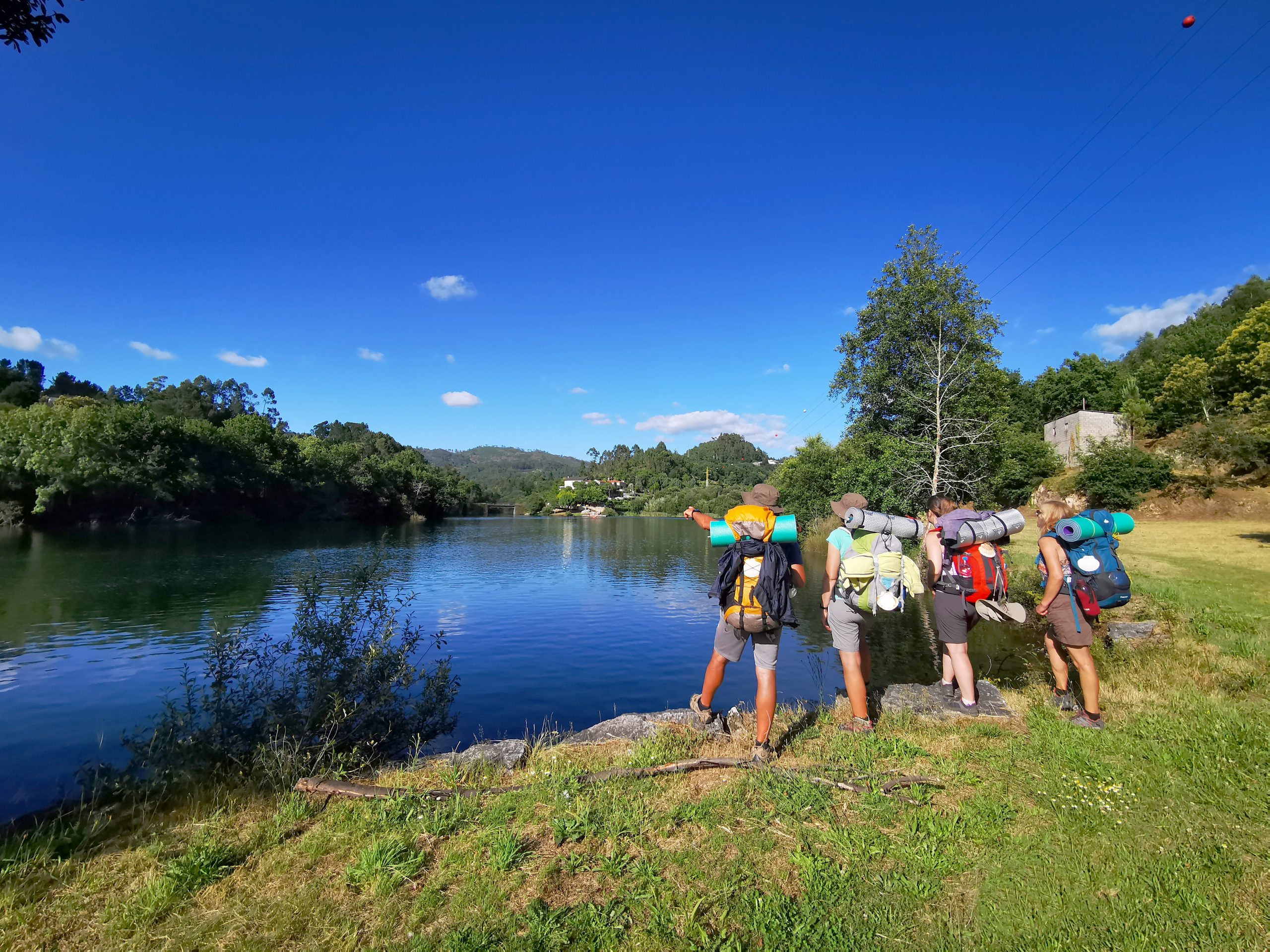 Rascunho automático 4119