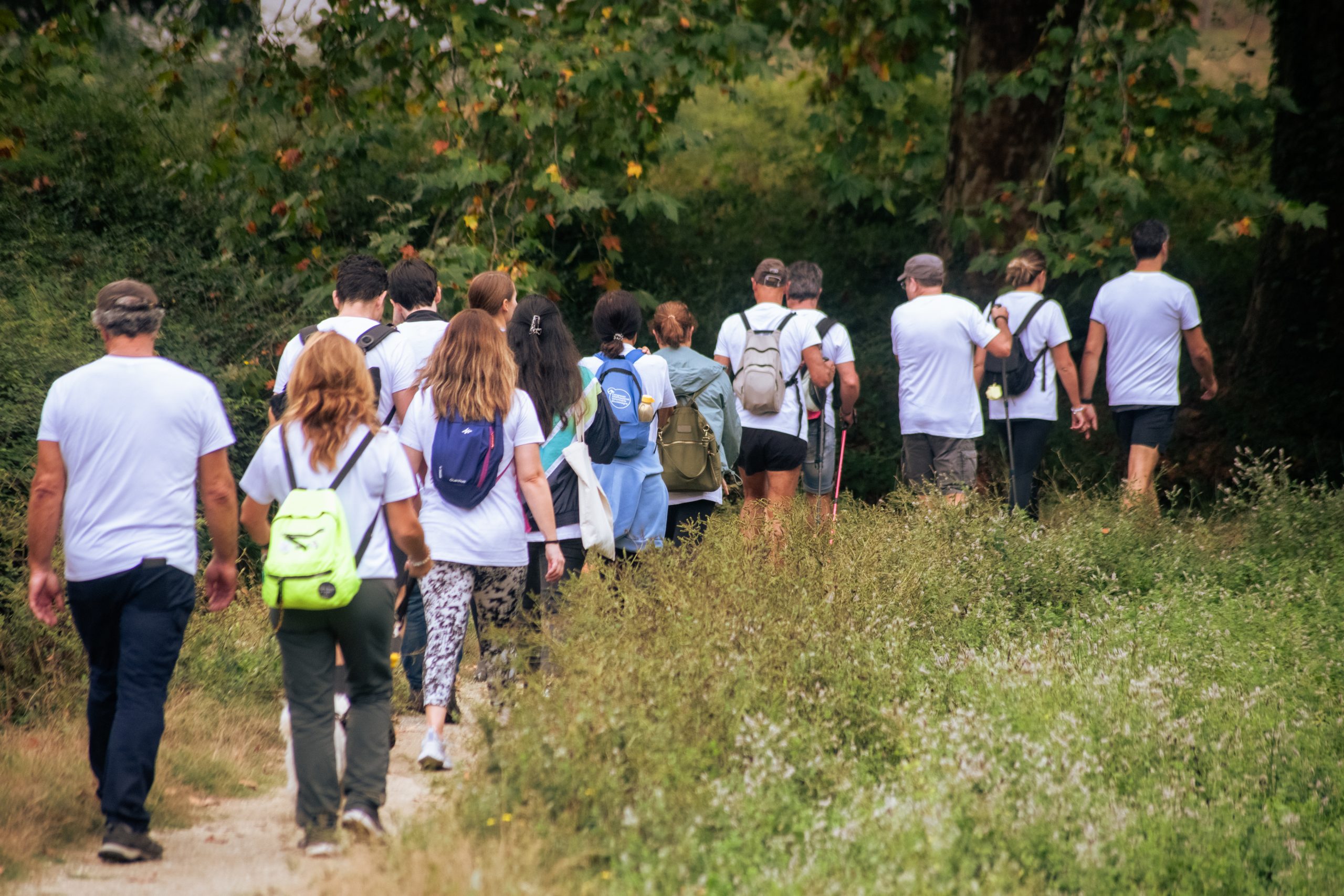 Rascunho automático 4116