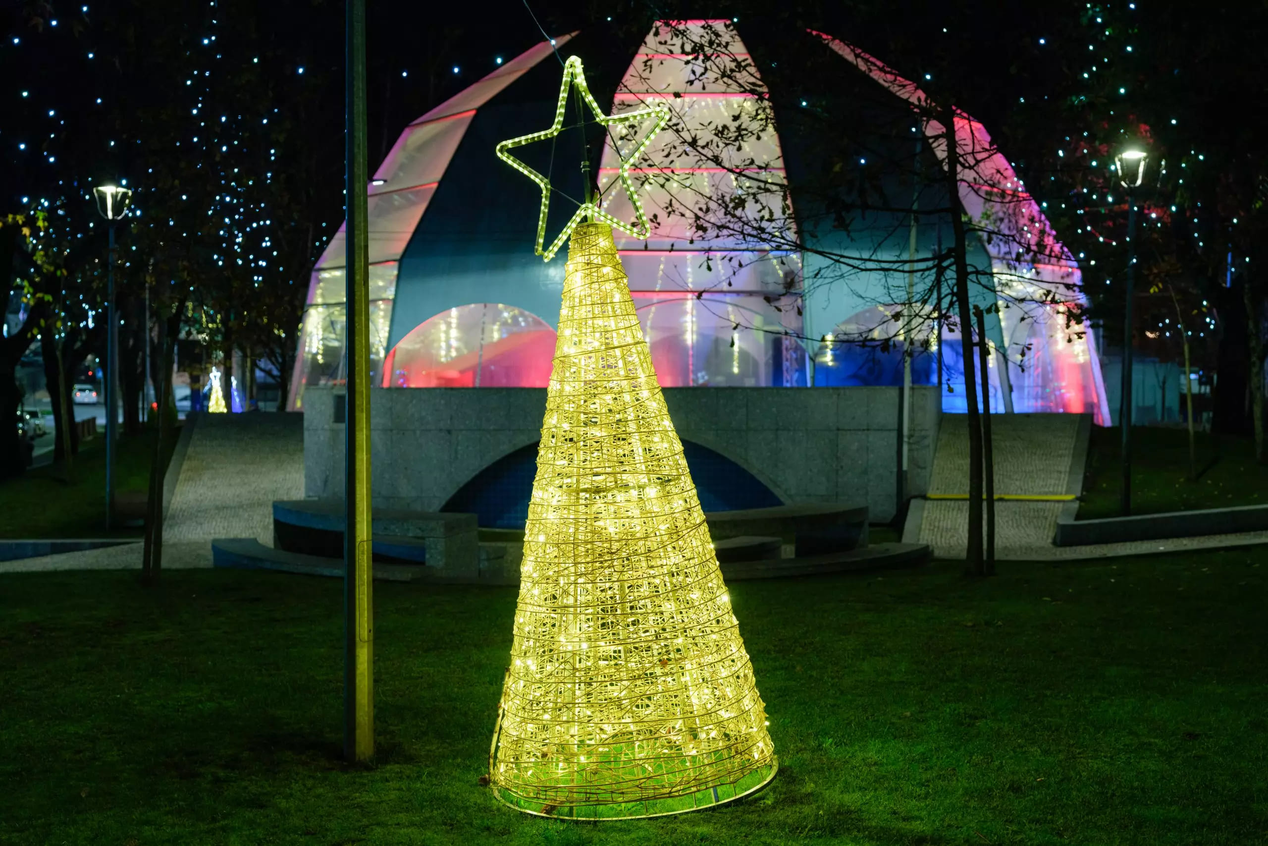 Natal-Solidario-scaled (1)