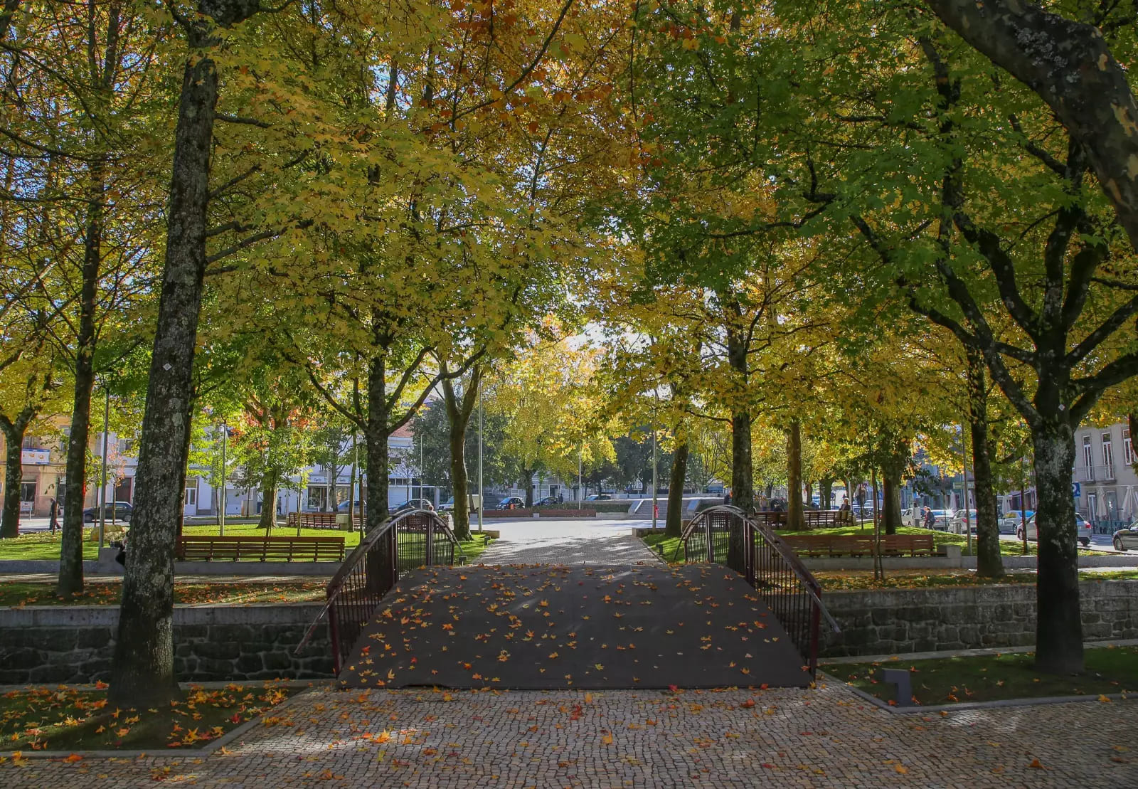 Praca-Eng.o-Armando-Rodrigues- (1)