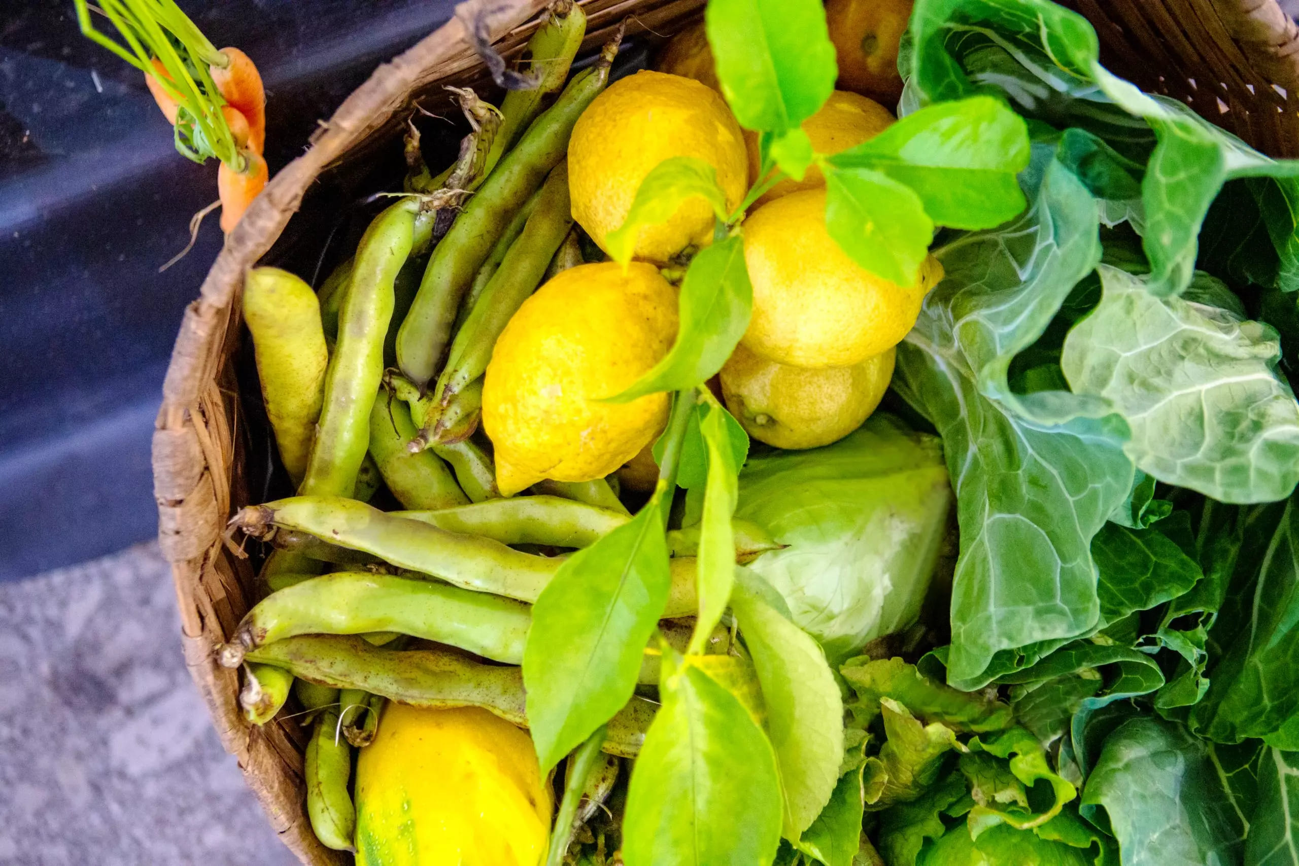 foto-PVL-mercado-scaled