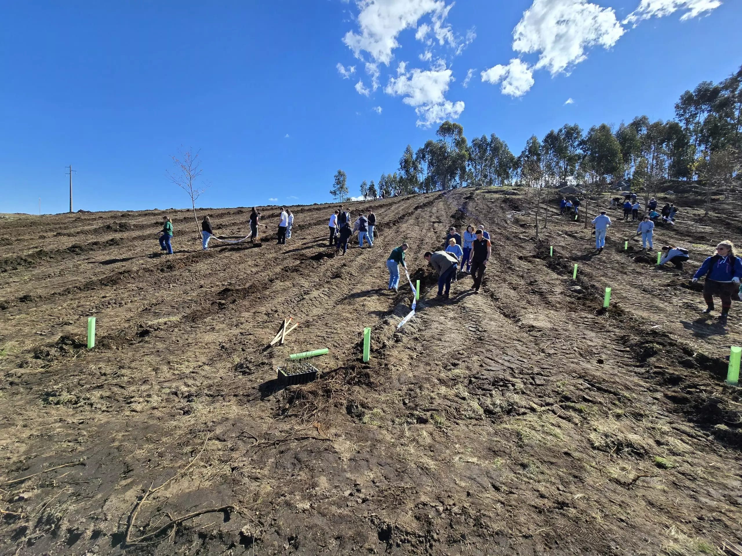 WhatsApp-Image-2025-03-14-at-12.48.40-scaled