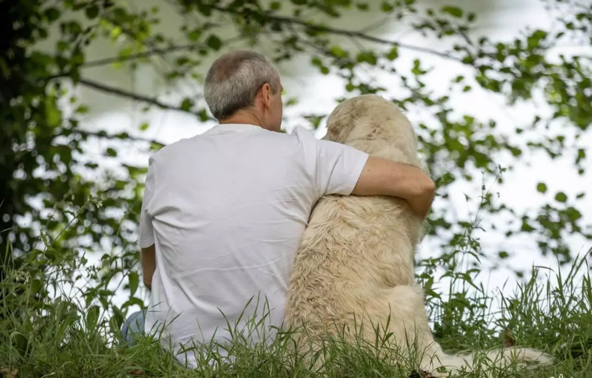 Foto-Camapanha-Esterilizacao-Animais- (1)